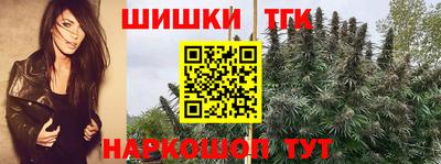СК Рыбинск