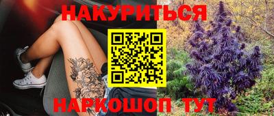 гидропоника Пугачёв