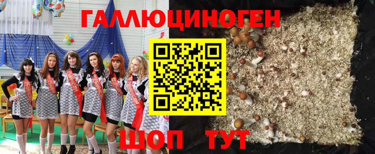 Галлюциногенные грибы GOLDEN TEACHER  Псилоцибиновые грибы мухоморы  Вход с VPN  Печора 